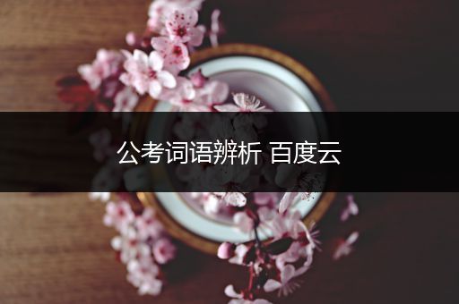 公考词语辨析 百度云