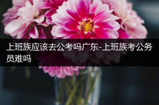 上班族应该去公考吗广东-上班族考公务员难吗