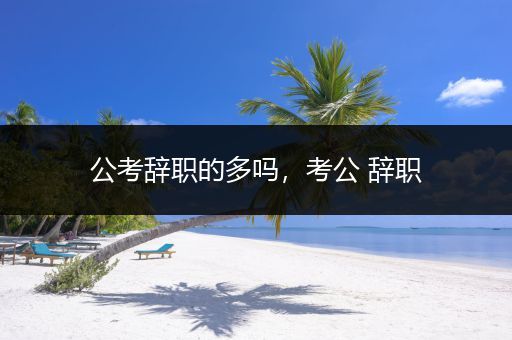公考辞职的多吗，考公 辞职