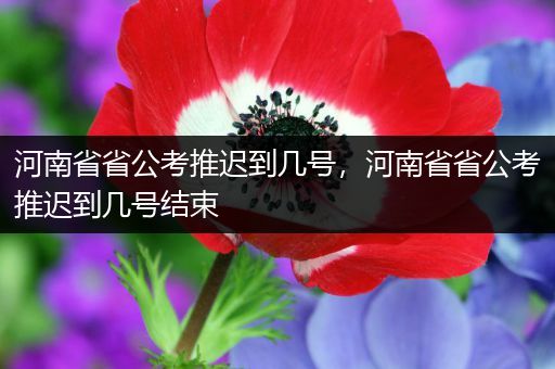 河南省省公考推迟到几号，河南省省公考推迟到几号结束