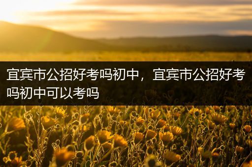 宜宾市公招好考吗初中，宜宾市公招好考吗初中可以考吗