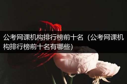 公考网课机构排行榜前十名（公考网课机构排行榜前十名有哪些）