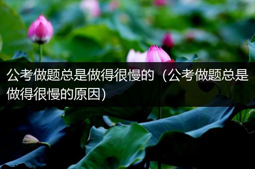 公考做题总是做得很慢的（公考做题总是做得很慢的原因）
