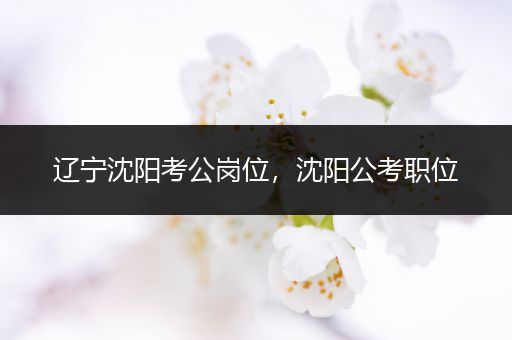 辽宁沈阳考公岗位，沈阳公考职位