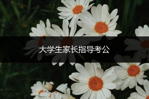 大学生家长指导考公