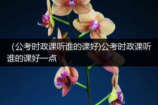 （公考时政课听谁的课好)公考时政课听谁的课好一点