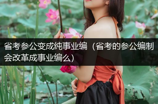 省考参公变成纯事业编（省考的参公编制会改革成事业编么）