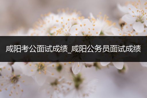 咸阳考公面试成绩_咸阳公务员面试成绩