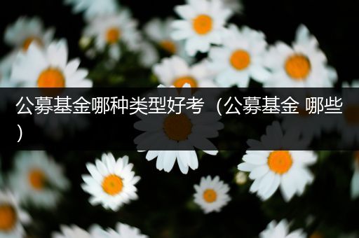 公募基金哪种类型好考（公募基金 哪些）