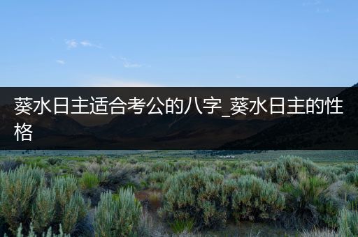 葵水日主适合考公的八字_葵水日主的性格