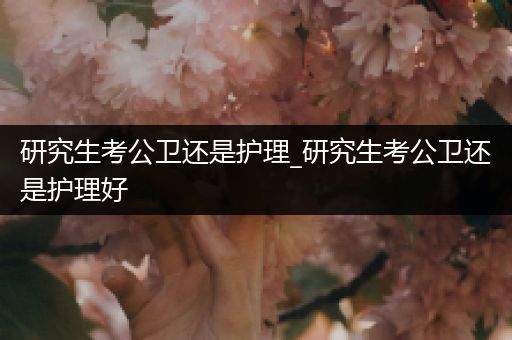 研究生考公卫还是护理_研究生考公卫还是护理好