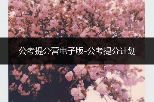 公考提分营电子版-公考提分计划