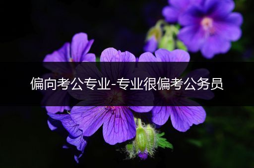 偏向考公专业-专业很偏考公务员