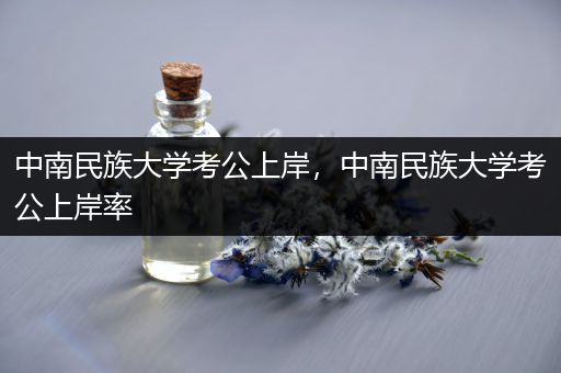 中南民族大学考公上岸，中南民族大学考公上岸率