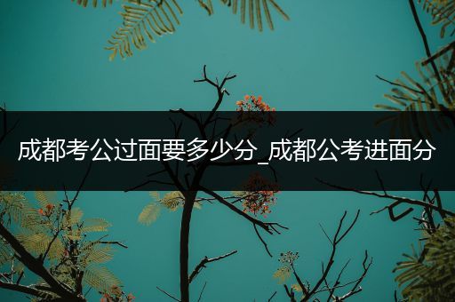 成都考公过面要多少分_成都公考进面分