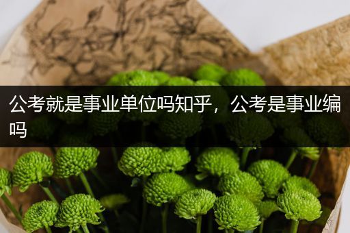 公考就是事业单位吗知乎，公考是事业编吗