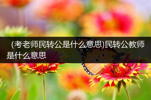 （考老师民转公是什么意思)民转公教师是什么意思