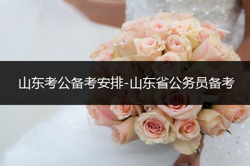 山东考公备考安排-山东省公务员备考
