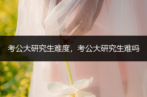 考公大研究生难度，考公大研究生难吗
