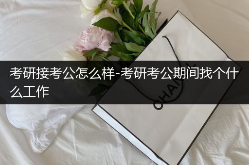 考研接考公怎么样-考研考公期间找个什么工作