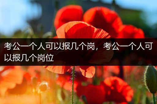 考公一个人可以报几个岗，考公一个人可以报几个岗位