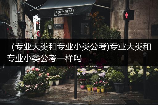 （专业大类和专业小类公考)专业大类和专业小类公考一样吗