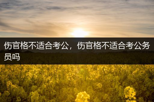 伤官格不适合考公，伤官格不适合考公务员吗