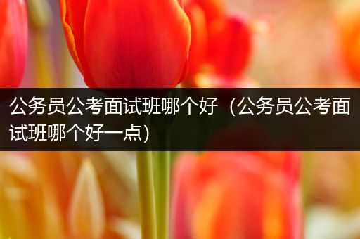 公务员公考面试班哪个好（公务员公考面试班哪个好一点）
