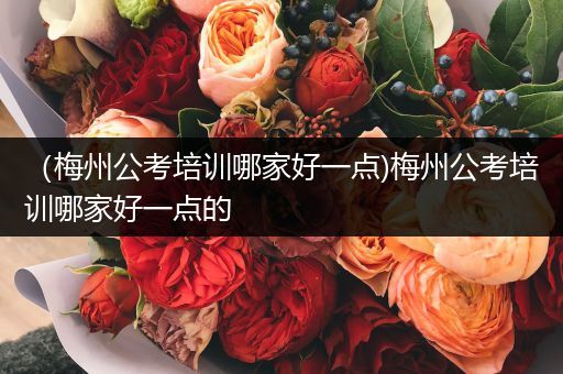 （梅州公考培训哪家好一点)梅州公考培训哪家好一点的