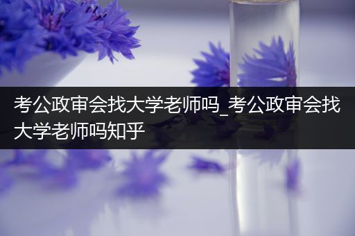 考公政审会找大学老师吗_考公政审会找大学老师吗知乎