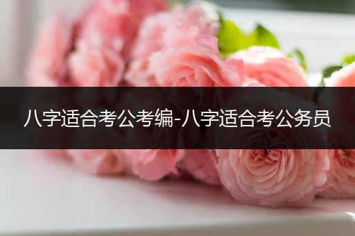 八字适合考公考编-八字适合考公务员