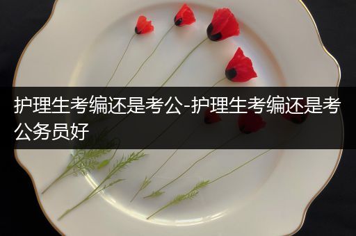 护理生考编还是考公-护理生考编还是考公务员好