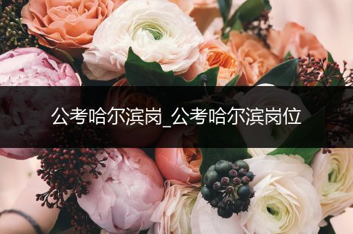 公考哈尔滨岗_公考哈尔滨岗位