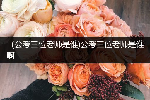 （公考三位老师是谁)公考三位老师是谁啊