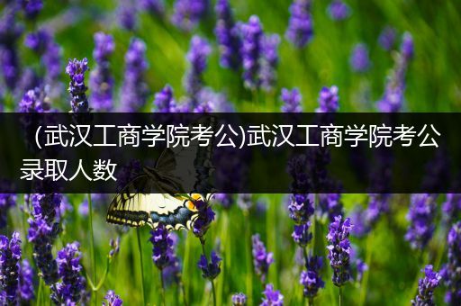 （武汉工商学院考公)武汉工商学院考公录取人数