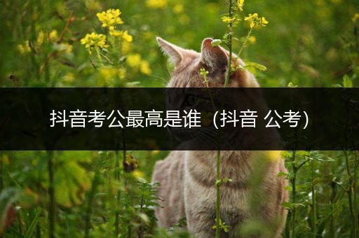 抖音考公最高是谁（抖音 公考）