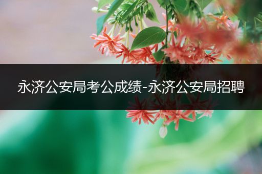 永济公安局考公成绩-永济公安局招聘