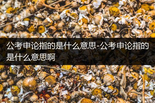 公考申论指的是什么意思-公考申论指的是什么意思啊