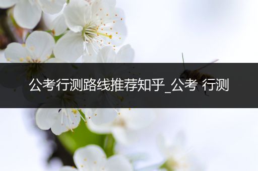 公考行测路线推荐知乎_公考 行测