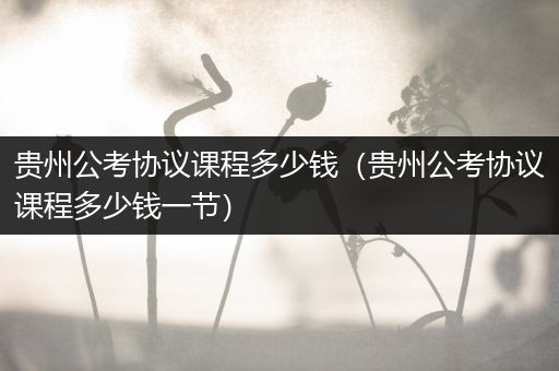 贵州公考协议课程多少钱（贵州公考协议课程多少钱一节）
