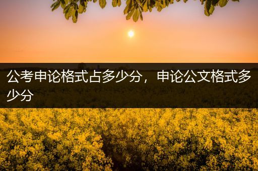 公考申论格式占多少分，申论公文格式多少分
