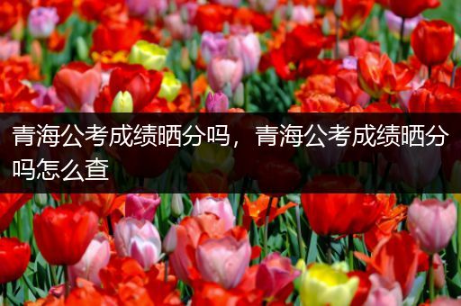 青海公考成绩晒分吗，青海公考成绩晒分吗怎么查