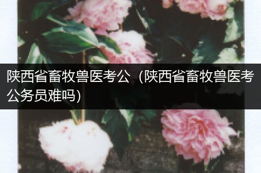 陕西省畜牧兽医考公（陕西省畜牧兽医考公务员难吗）
