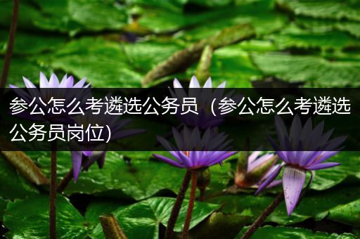 参公怎么考遴选公务员（参公怎么考遴选公务员岗位）