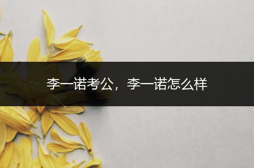 李一诺考公，李一诺怎么样