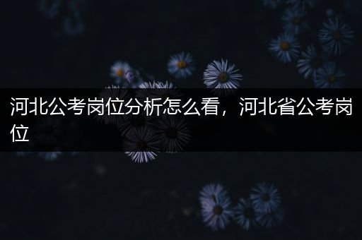 河北公考岗位分析怎么看，河北省公考岗位