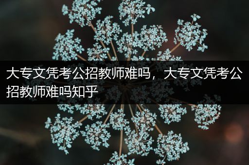 大专文凭考公招教师难吗，大专文凭考公招教师难吗知乎