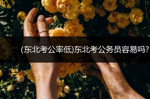 （东北考公率低)东北考公务员容易吗?