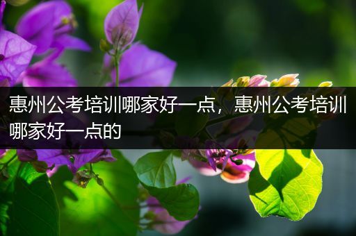 惠州公考培训哪家好一点，惠州公考培训哪家好一点的