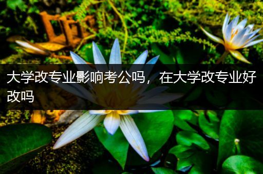 大学改专业影响考公吗，在大学改专业好改吗